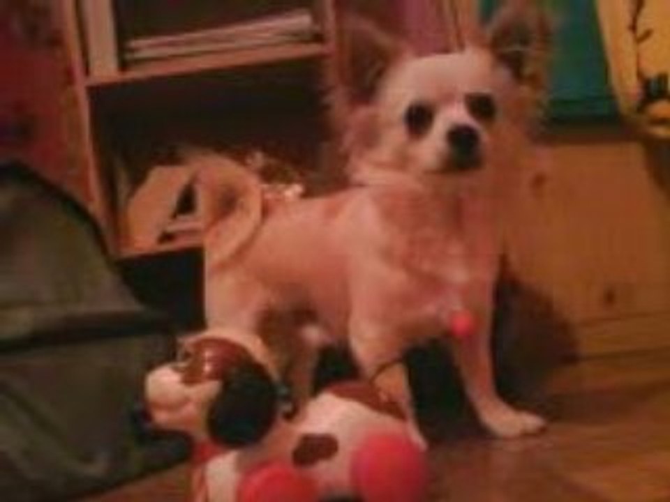 Denver et son jouet