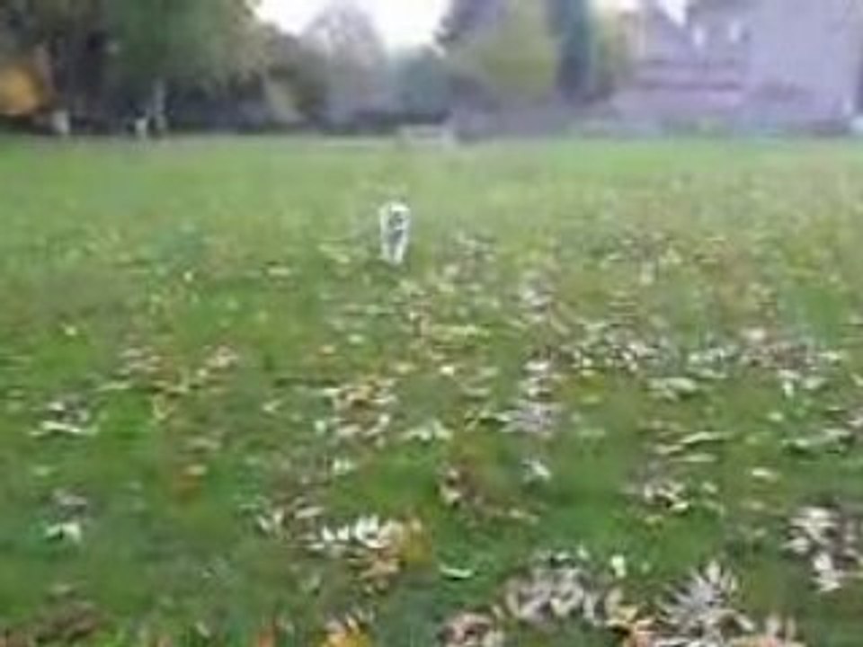 Bosco joue au ballon