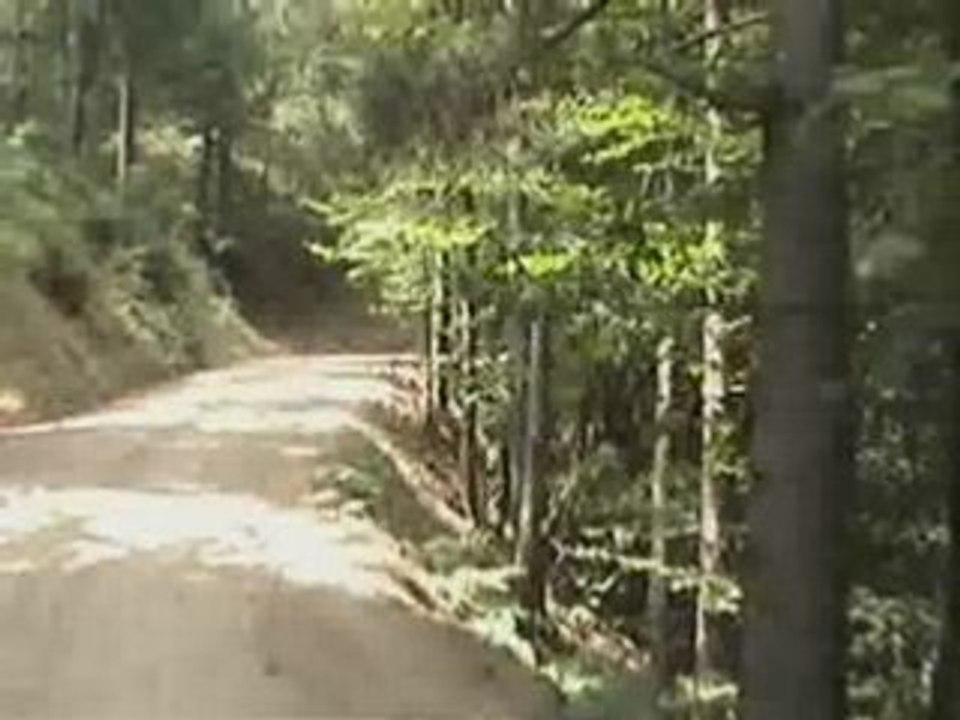 Tagutlara İlahi