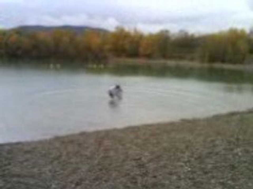 petit bain