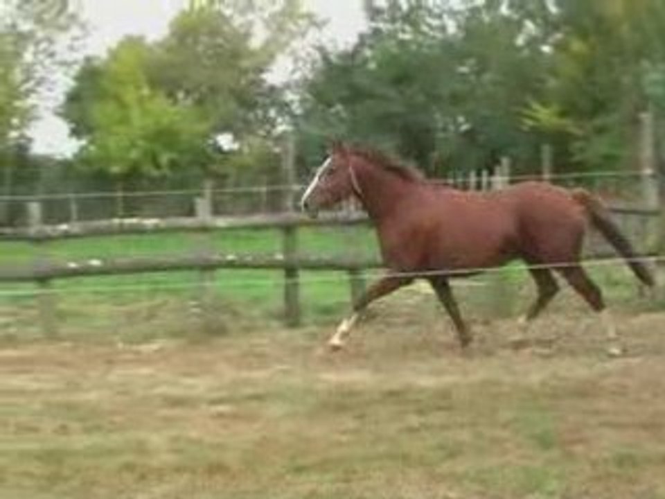 Quality d'oréal demi soeur d'Olympia d'Oreal