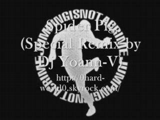 Spider Pig, Special Remix by Dj Yoann-V