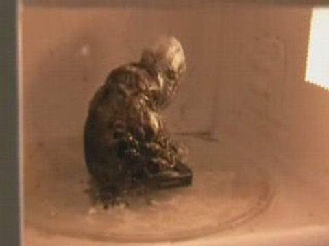 Telephone portable dans un micro ondes