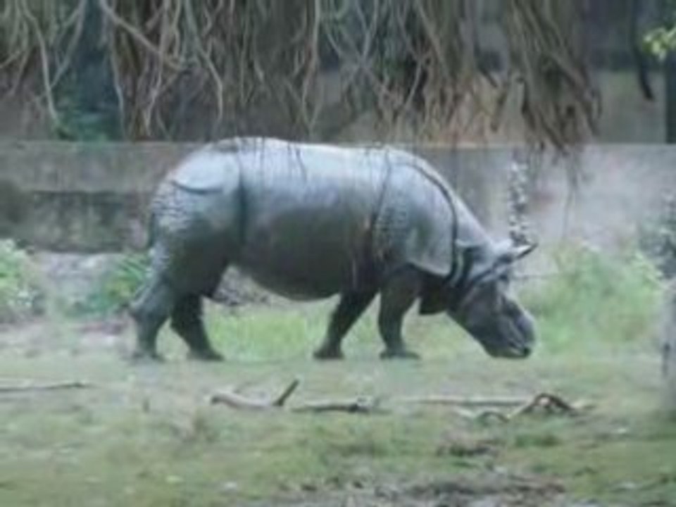 Zoo