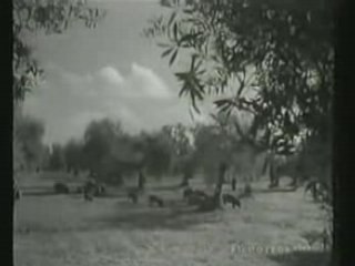 El Arahal de tus abuelos