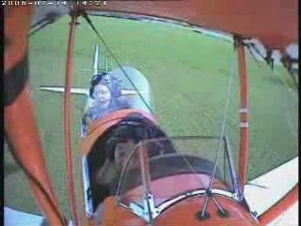 FLUVORE_avion_percute_une_vache_9e231