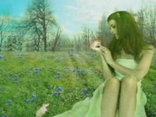 Video elfes, paysages, saisons