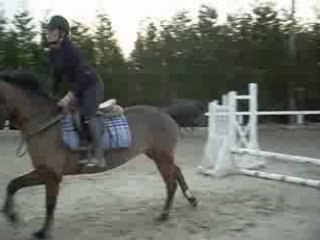 Petite séance obstacle Quérida