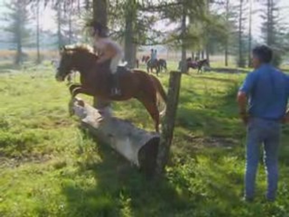 McFly - The Heart Never Lies