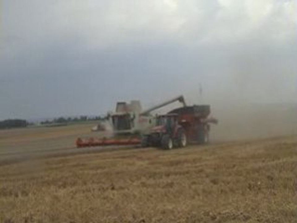 Moisson 2006