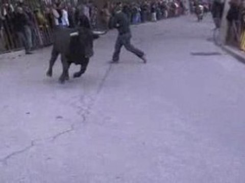 Encierro 2d festival taurin de Rodilhan