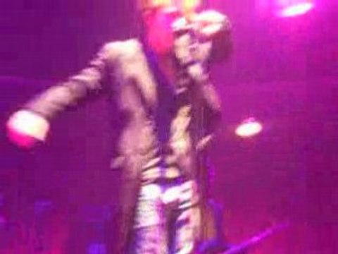 Raphael petite annonce concert lille zenith 11/11/08