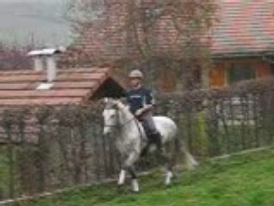 Pégase(a mtn 5ans)et moi