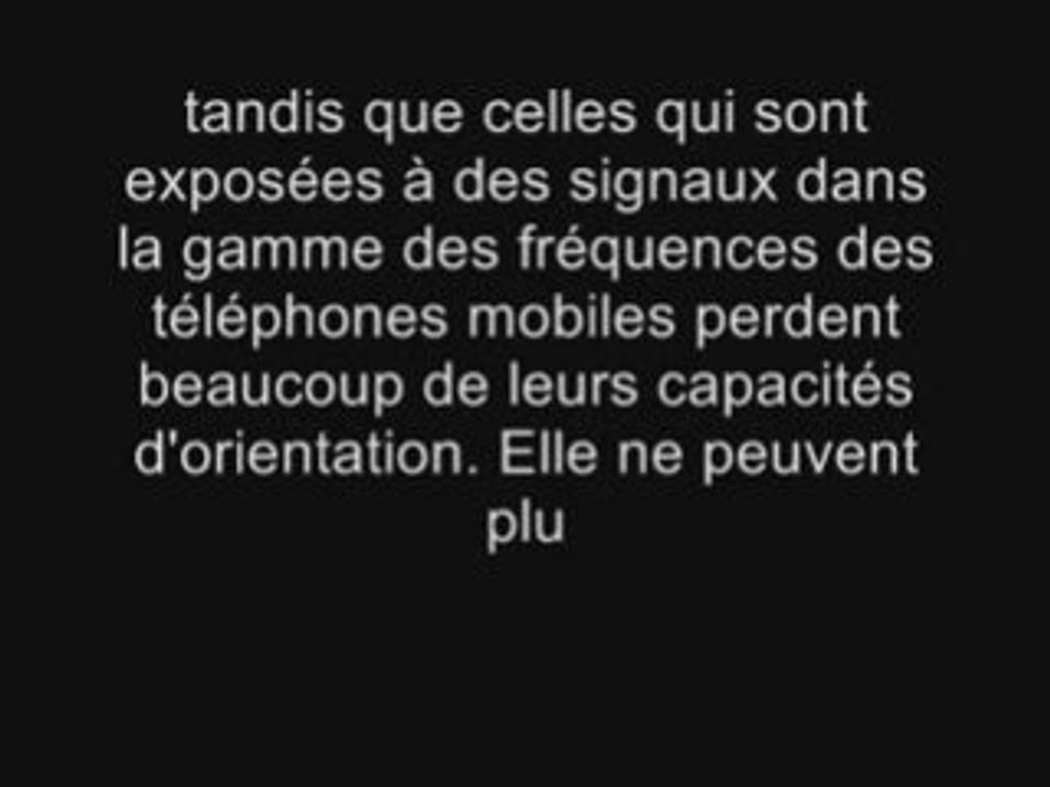 La disparition des abeilles causé par la pollution CEM