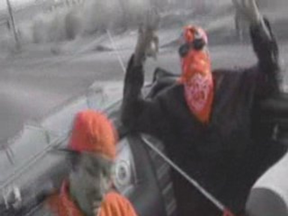 Bloods & Crips "G'z & Locs"