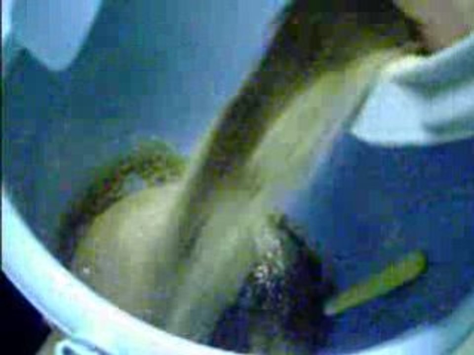 fabrication bouillette