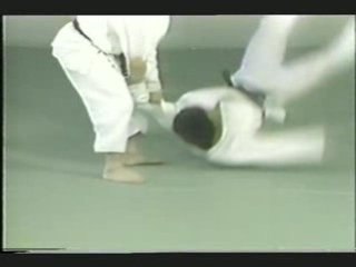 Osawa Sensei Tsubame Gaeshi