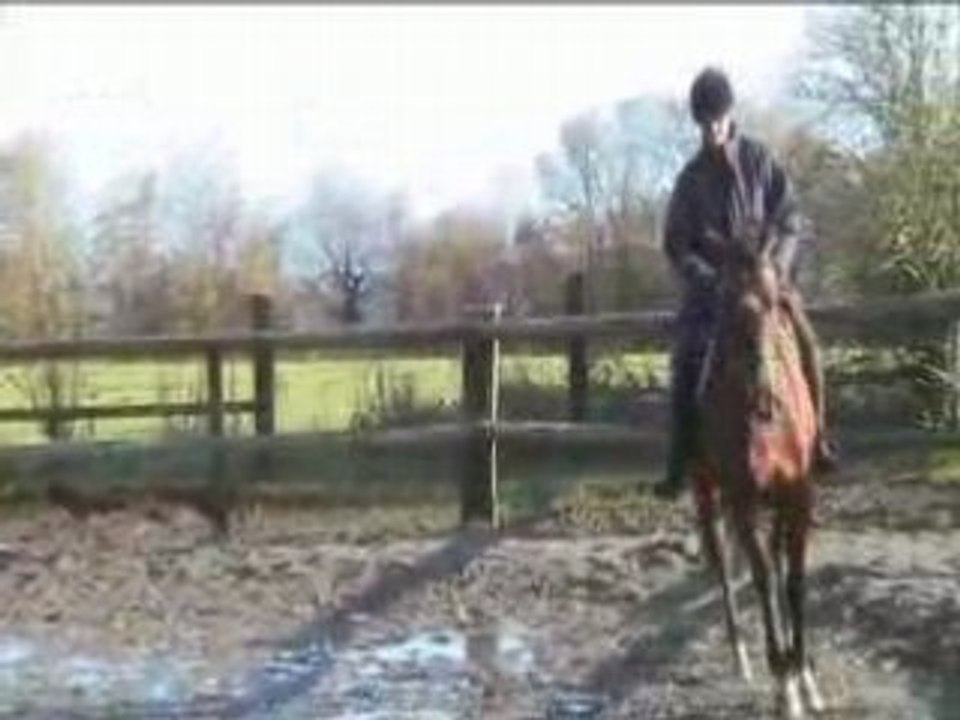 Quirikou au trot