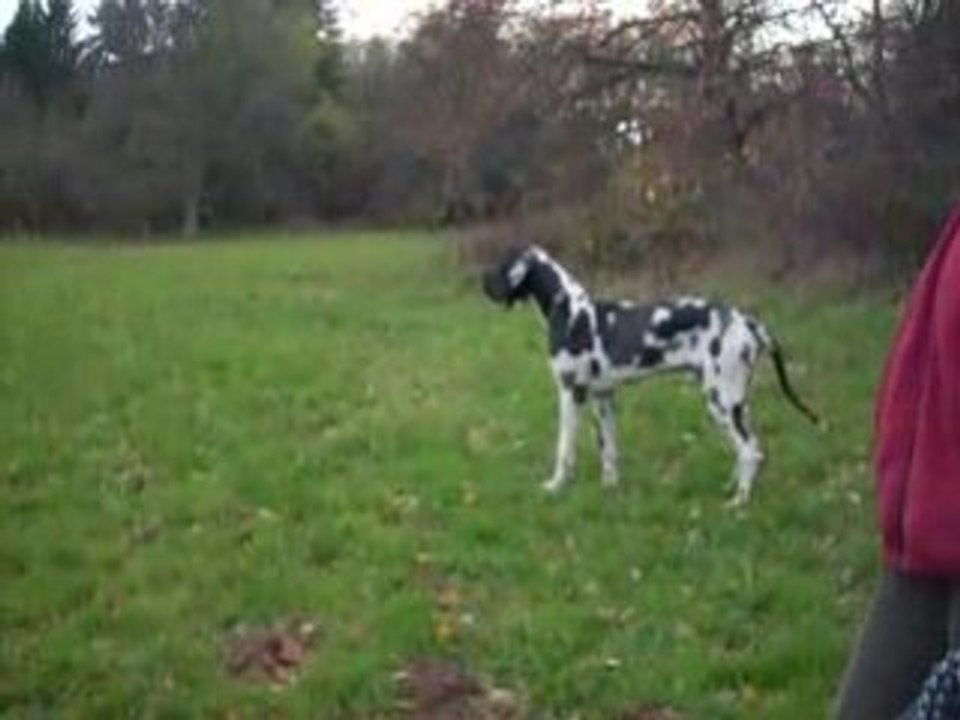 Capturées 2008-11-12 00013