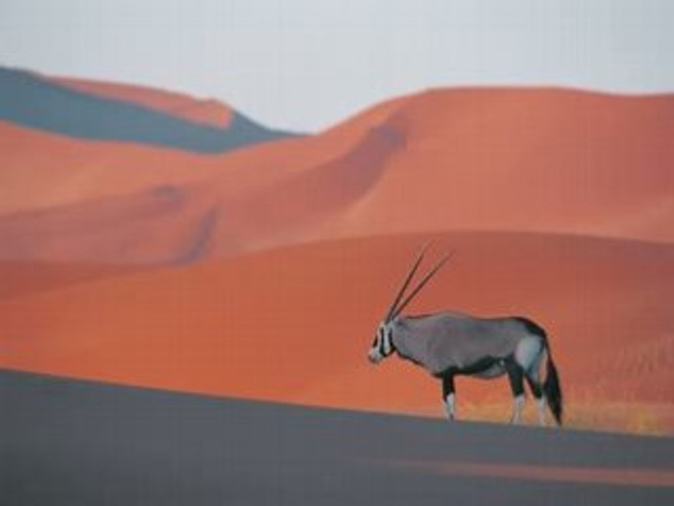 Les Nuits d'Orient première suite