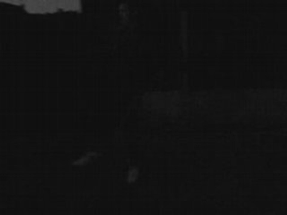 1 er video snooze
