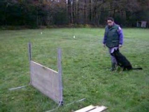 DIXIE des Côteaux du Lys