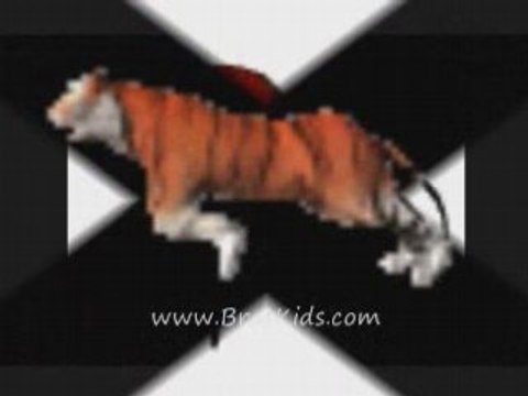 Animals for Brat Kids