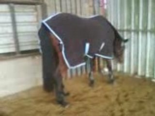 MAGICA MANEGE NOVEMBRE 2008