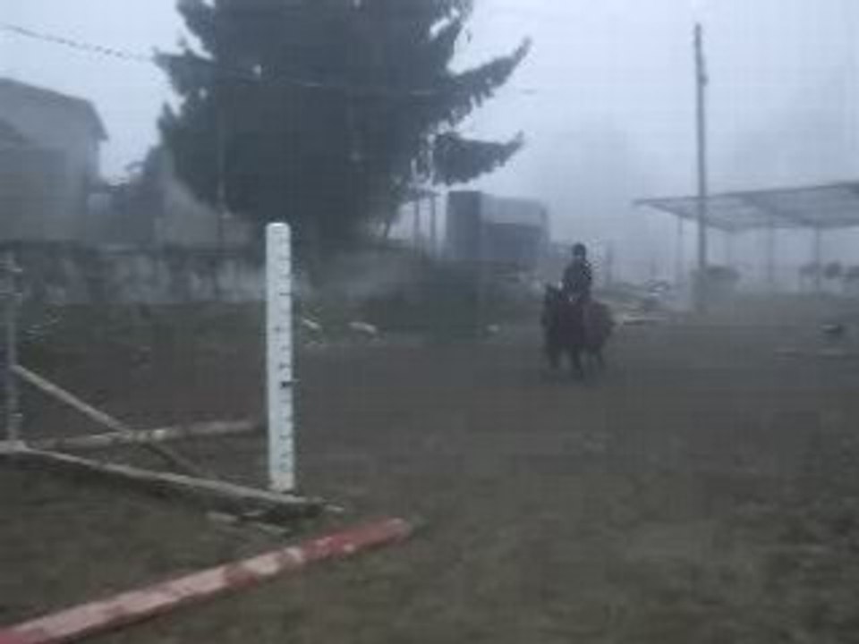 DSCF3646