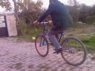 tek teker erdi