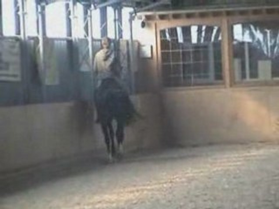 El rambo Van de Prins Novembre 2008