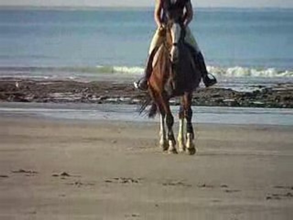 Plage octobre 2008