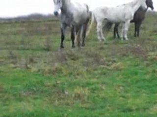 Malgrés les chasseurs, j'ai réussit a l'approcher.