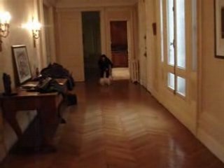 Cookie marche 151108