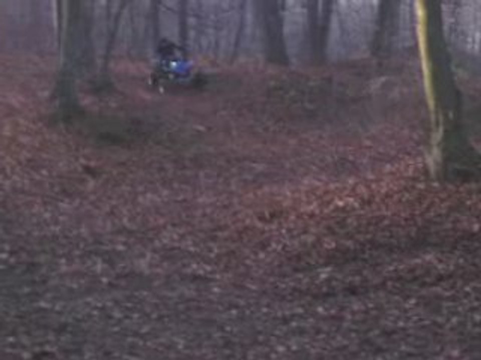 shineray 250 stixe dans les bois