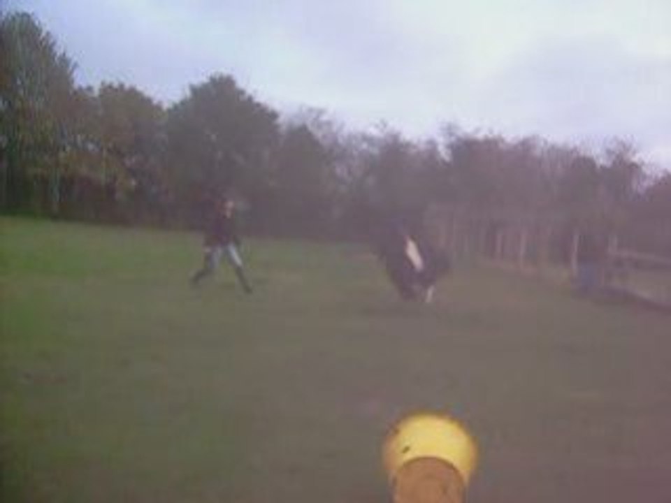 Jeu poney