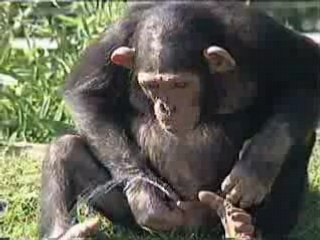 Mickael Vendetta prend l'apero