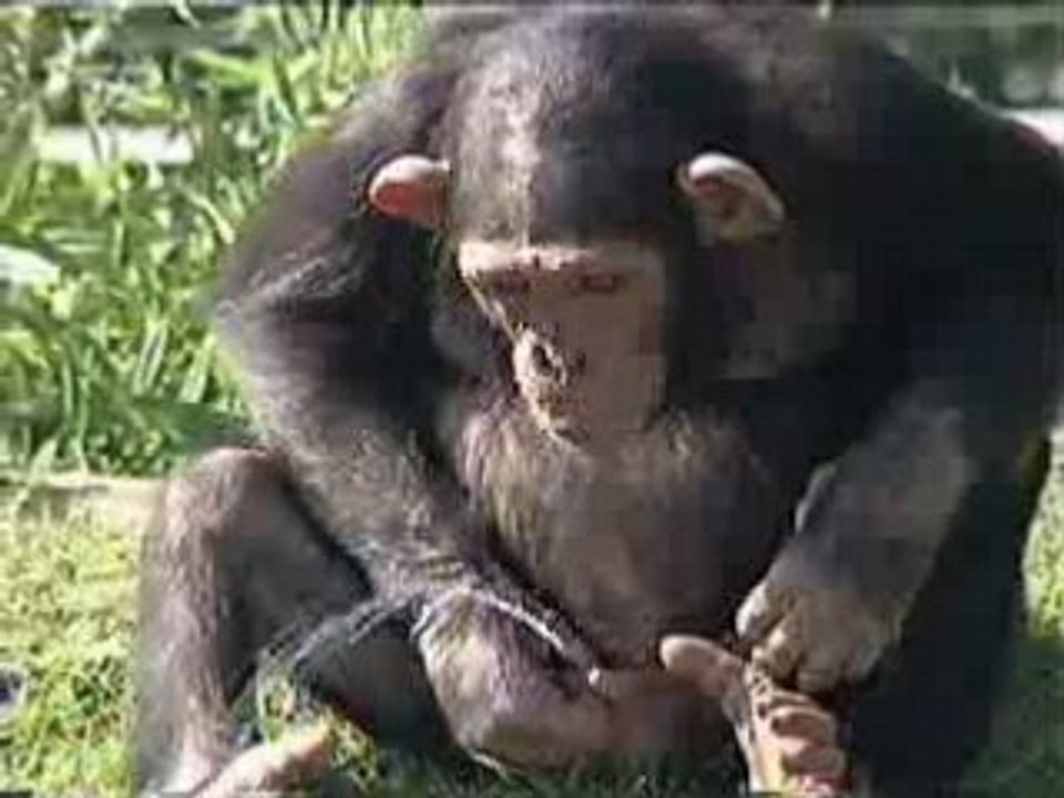 Mickael Vendetta prend l'apero