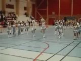 majorettes dauphines sallauminoises