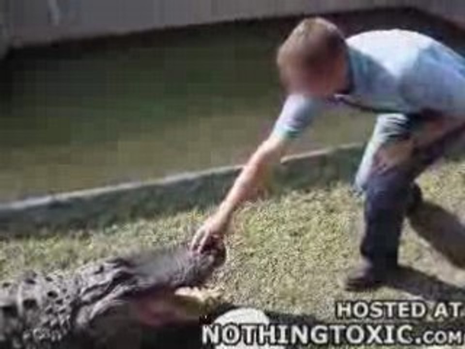 il se fait manger les doigts par un crocodile