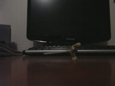 Essai à l'animation image par image (très bas niveau) n°2