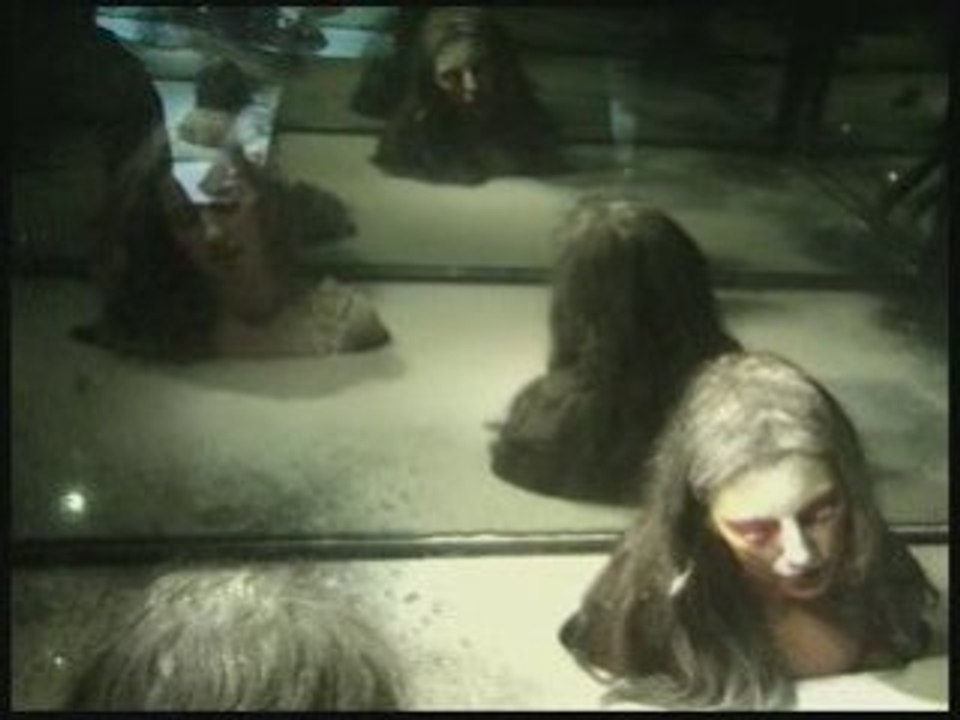 performance "Ou la nature dévoilée"