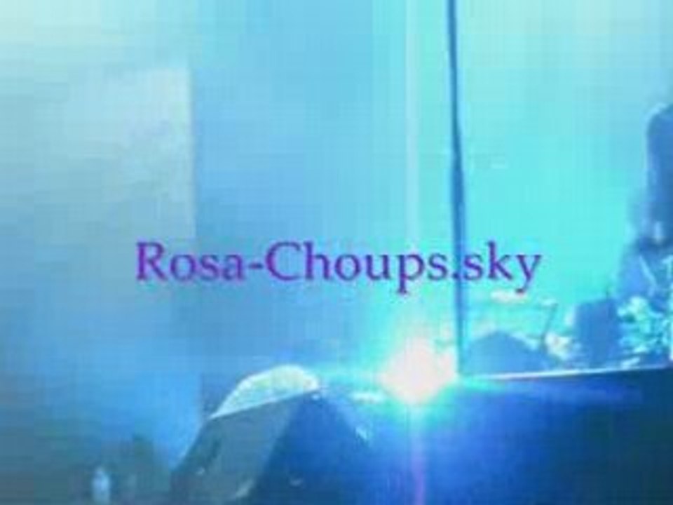 BB Brunes - Concert Zénith (Adrien descend de la scène)