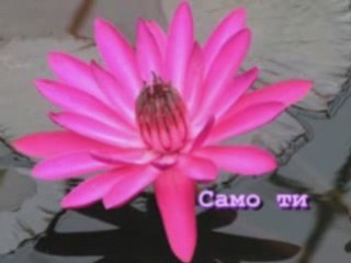 Bigmaster-Само ти