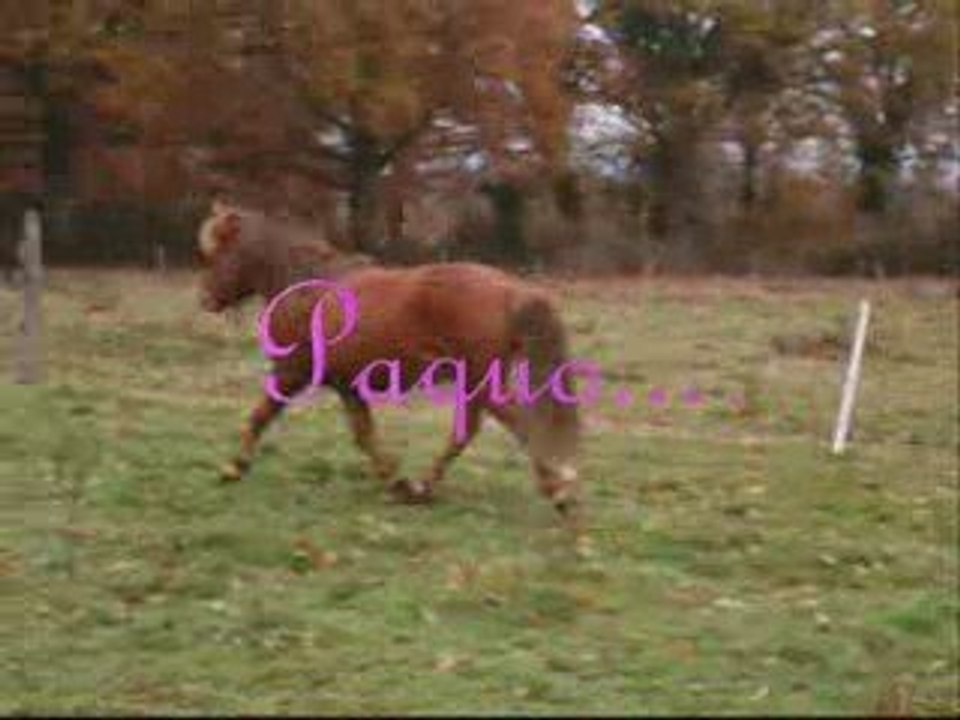 PaquO