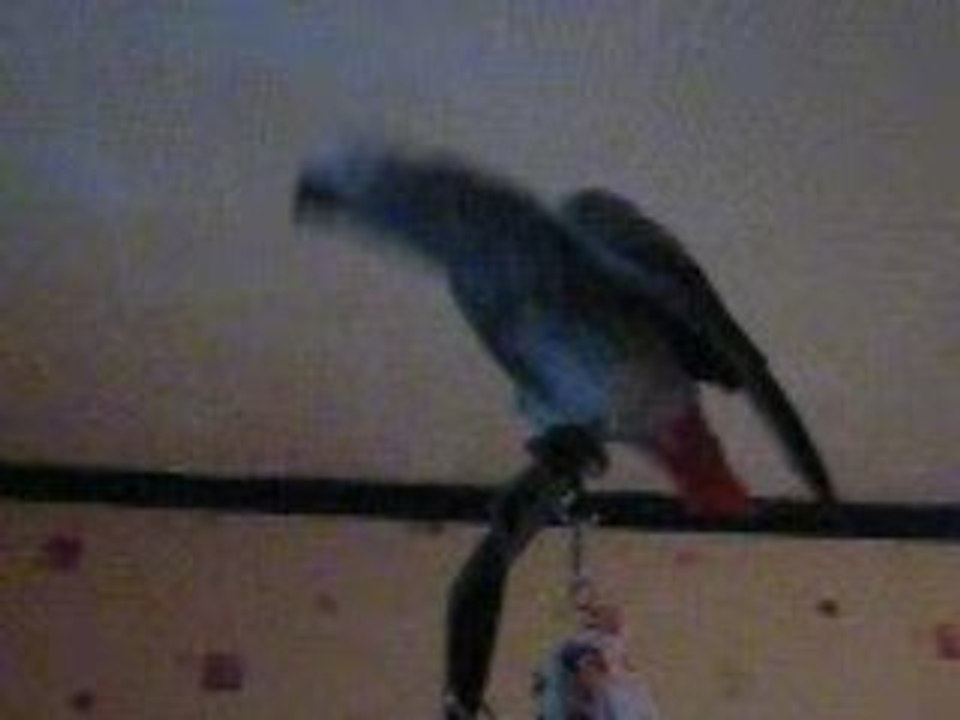 MVI_2517