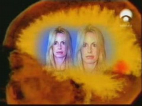 Percepcion de caras y cerebro