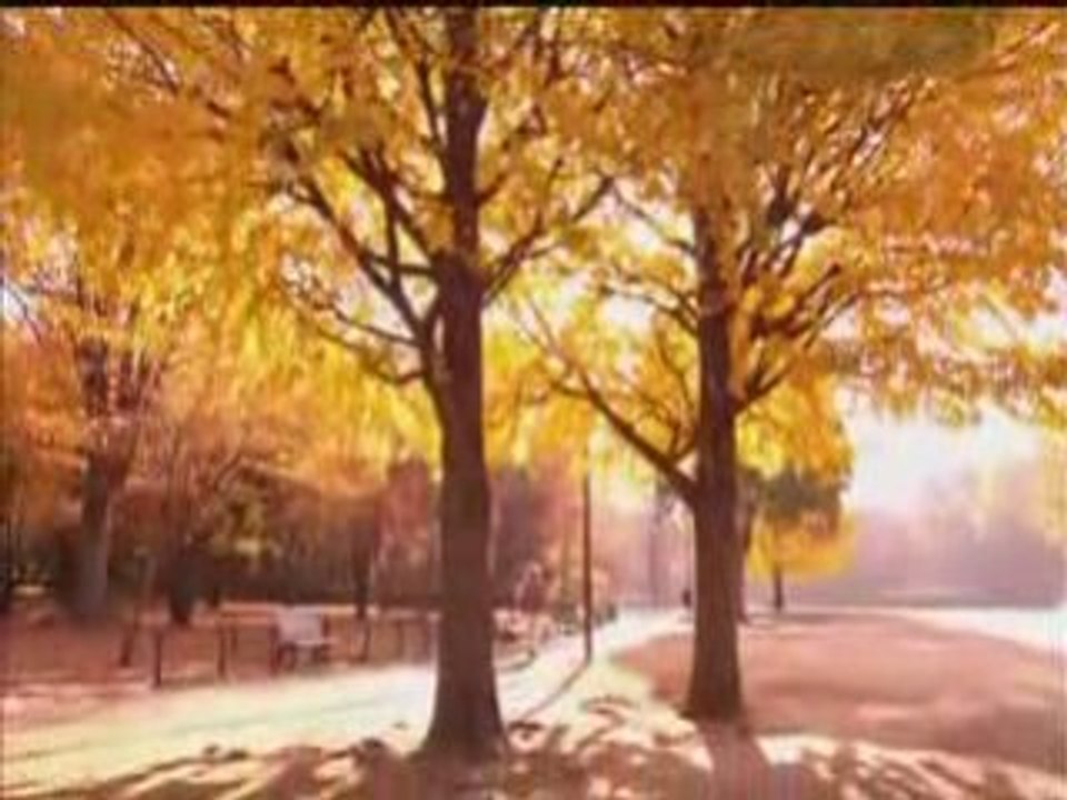 LE JAPON : Couleurs de Tokyo [vostfr]