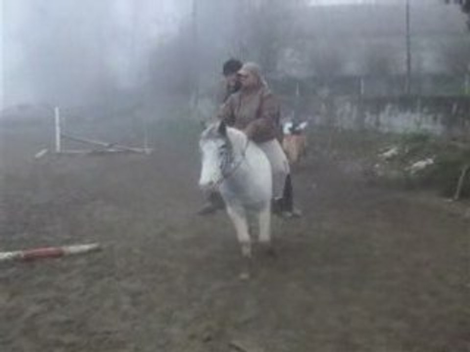 15.11.2008
