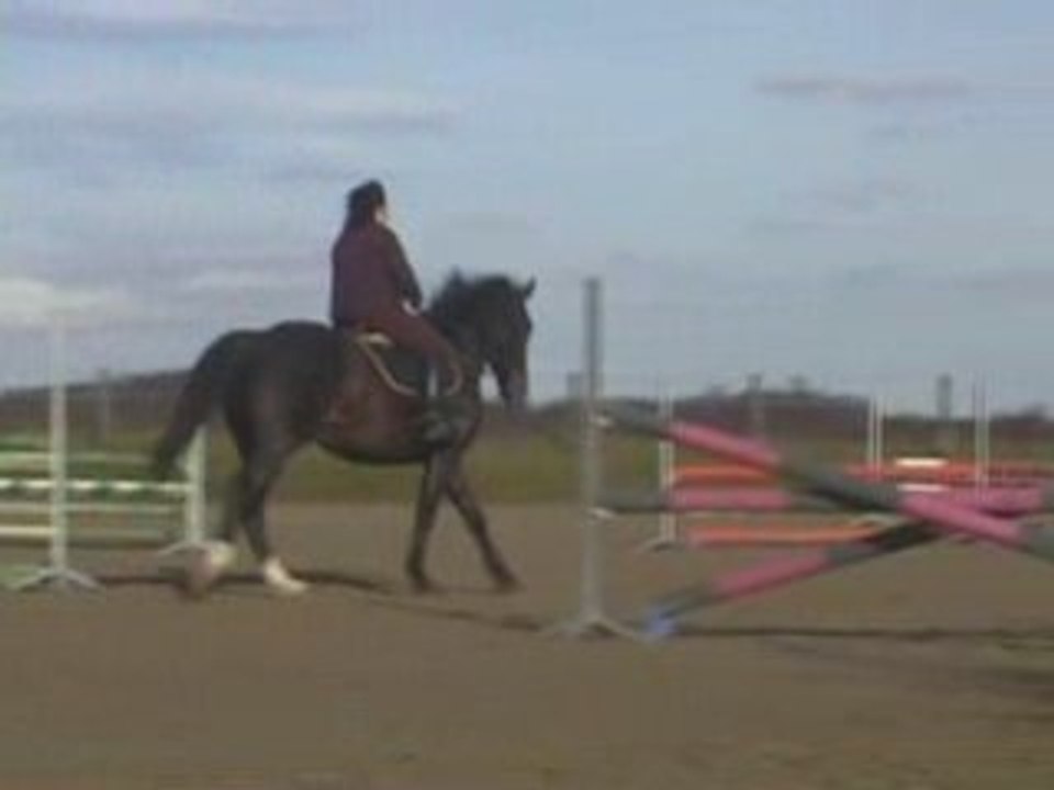 Cours du 10 novembre 2008 avec Arnaud Thiebault